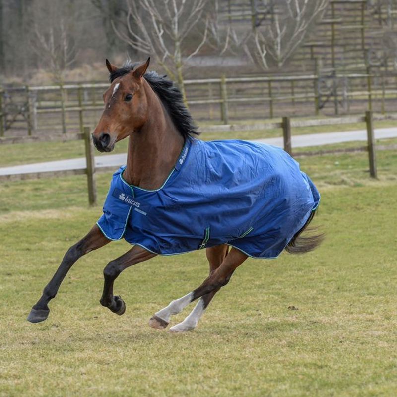 Bucas Smartex Rain Big Neck Light Turnout - Blue-1